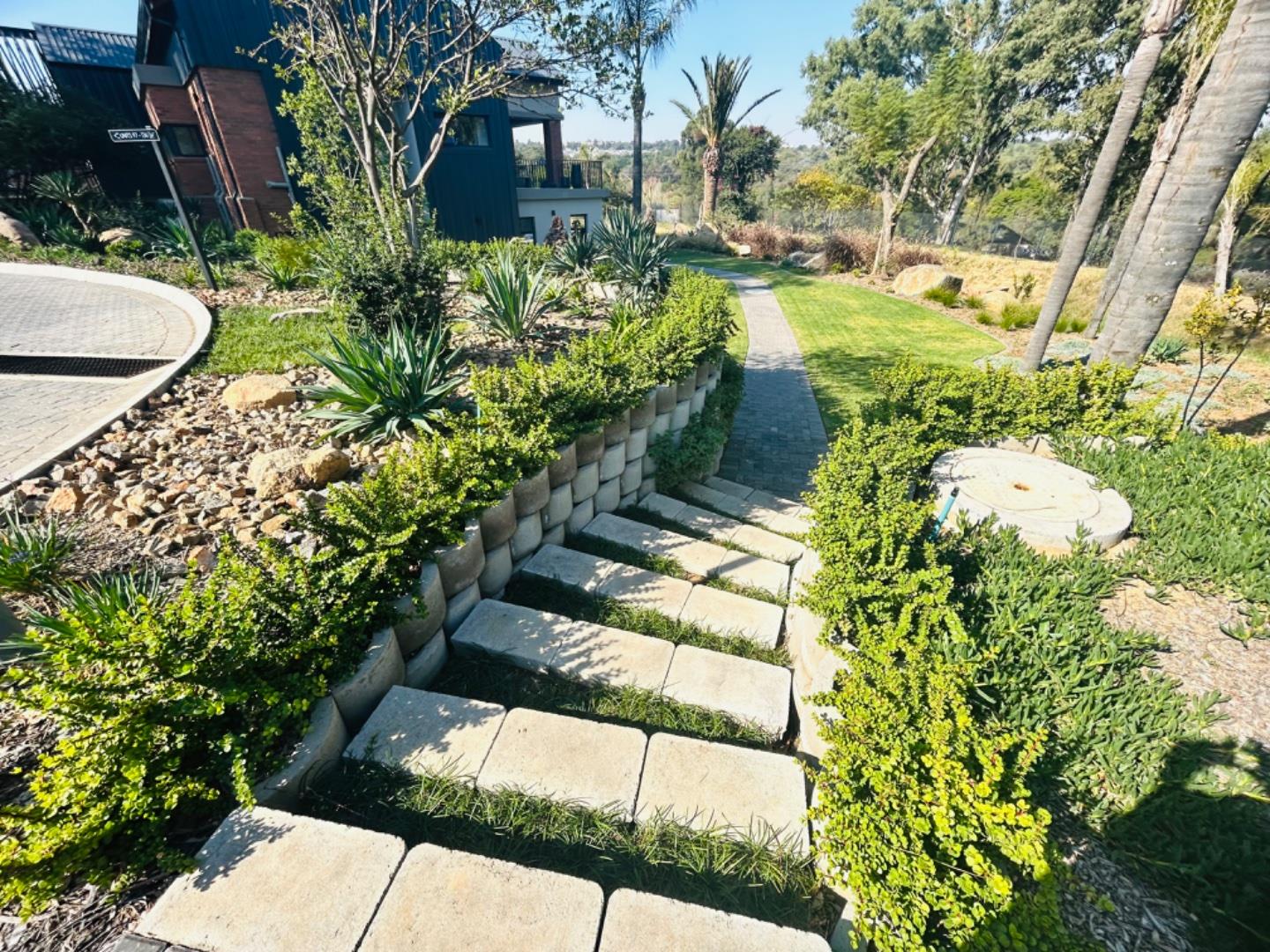 335145953.jpg